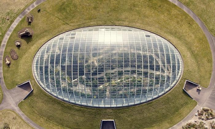 The Great Glasshouse